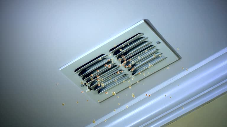 Best Affordable HVAC Duct Cleaning  in Chesilhurst, NJ